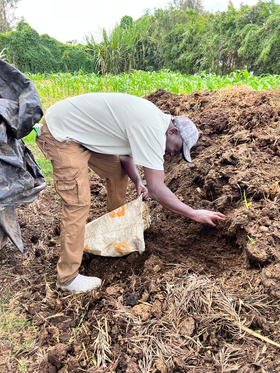 How Technology is Transforming Modern Agriculture in Africa